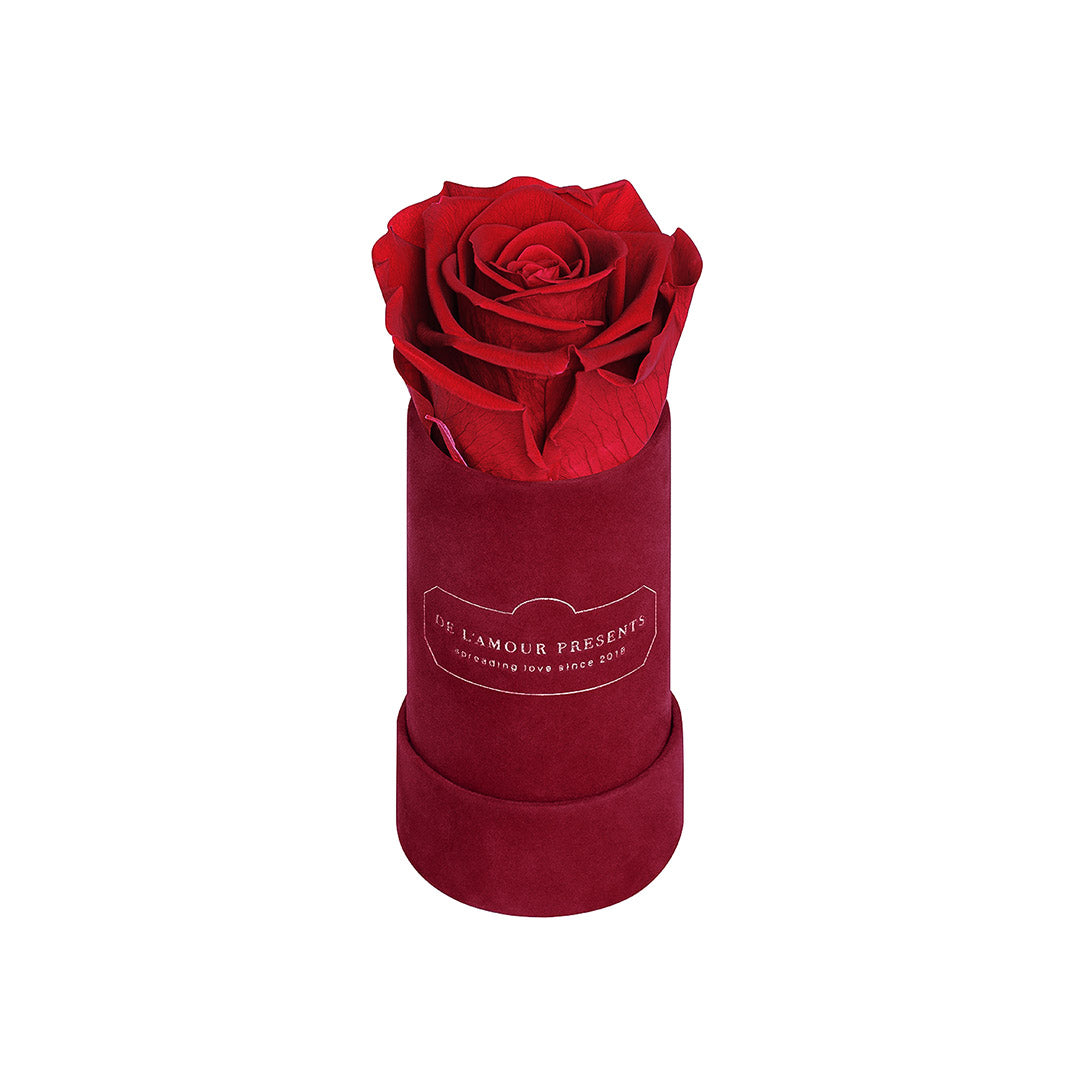 Czarny Welurowy Flower Box 1 Wieczna Stabilizowana Róża -