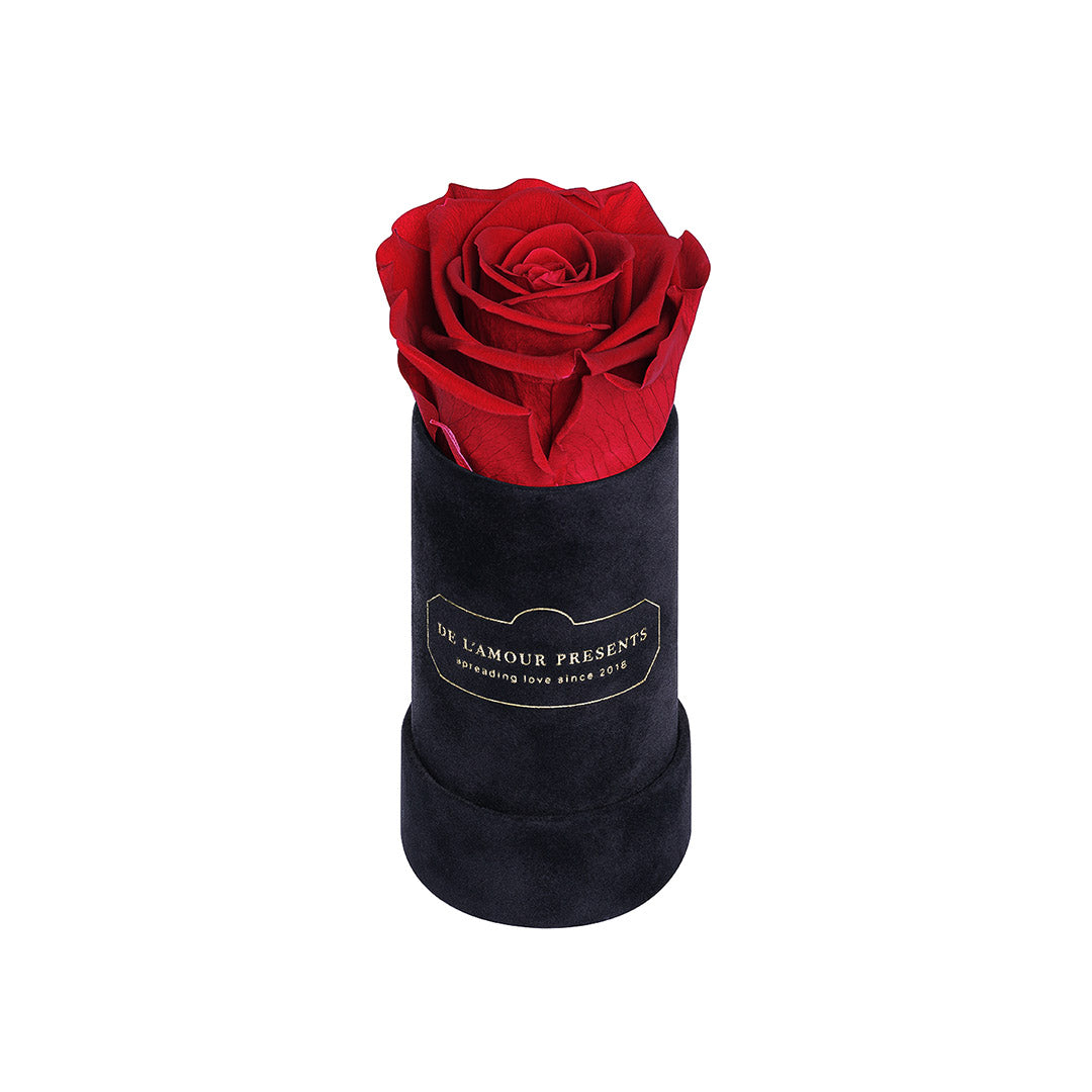 Czarny Welurowy Flower Box 1 Wieczna Stabilizowana Róża -