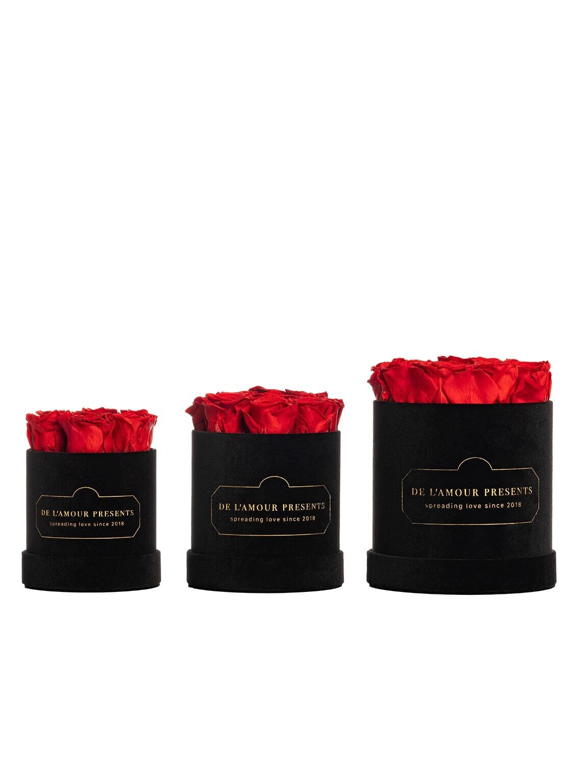 Czarny Welurowy Flower Box 10 Róż Z Wiecznymi