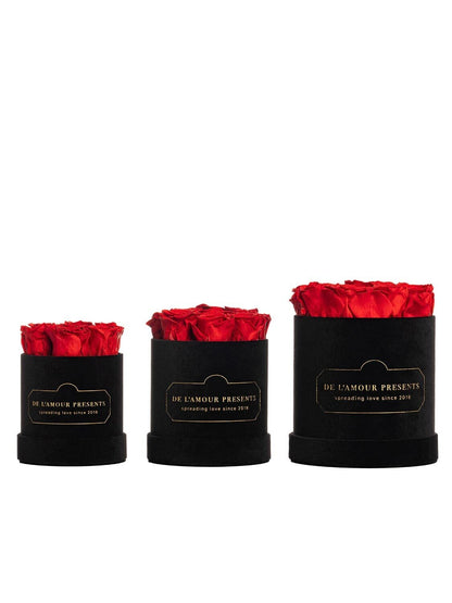 Czarny Welurowy Flower Box 12 róż z Wiecznymi