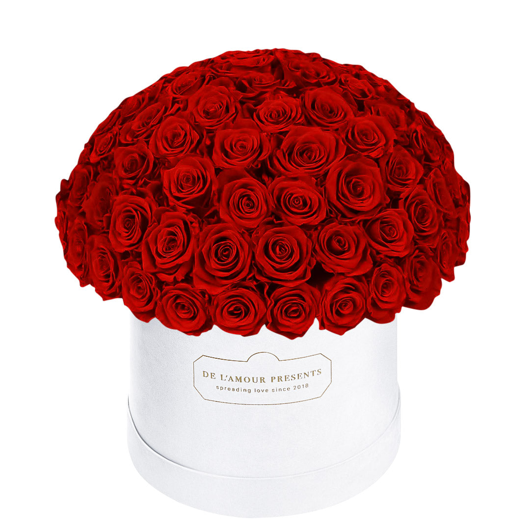 Czarny Welurowy Flower Box XXL 135-150 róż z Wiecznymi